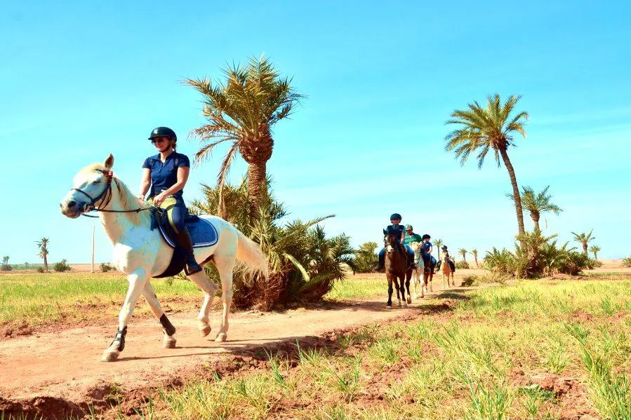 Horse riding in Marrakech, showcasing riders on horses against a backdrop of vibrant landscapes and traditional architecture.Horseback Riding in the Palmeraie