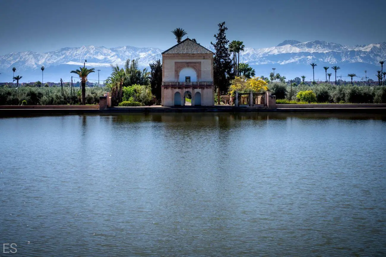 Olivar de los Jardines de la Ménara con la luz de la mañana — hábitat ideal para el avistamiento de aves en Marrakech