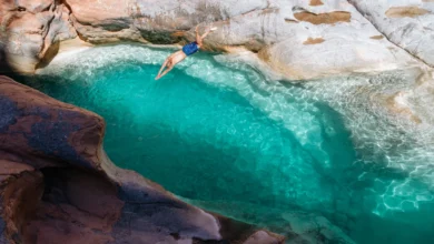 A person diving gracefully into a clear blue pool of water, creating ripples upon entry.