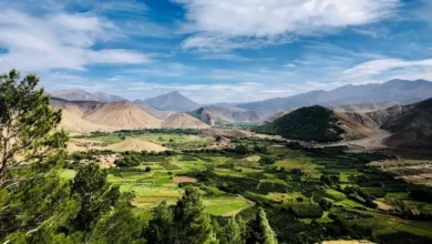 The expansive valley of the Atlas Mountains, showcasing rugged terrain and lush greenery under a clear blue sky.