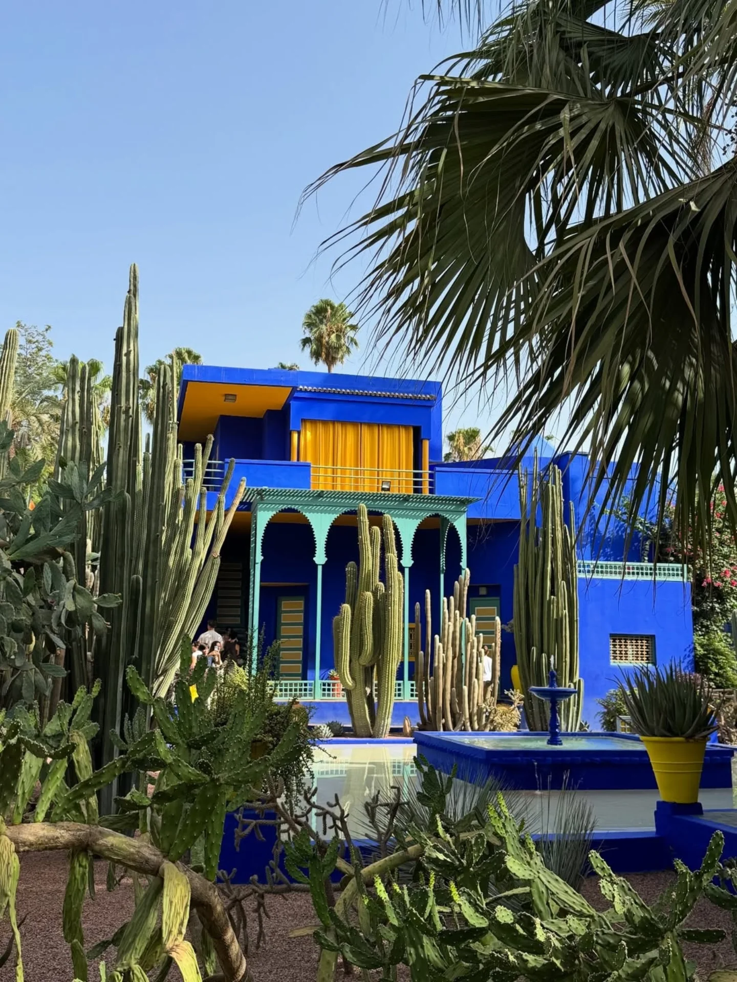 Majorelle Garden Marrakech with iconic cobalt blue villa and exotic plants