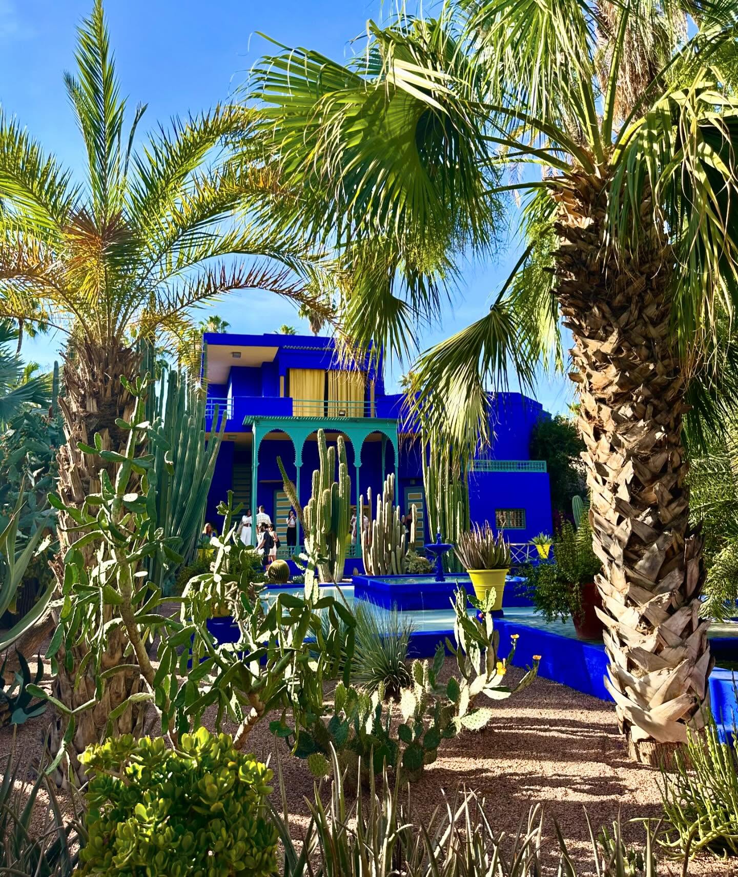 Majorelle Garden in Marrakech with colorful spring flowers