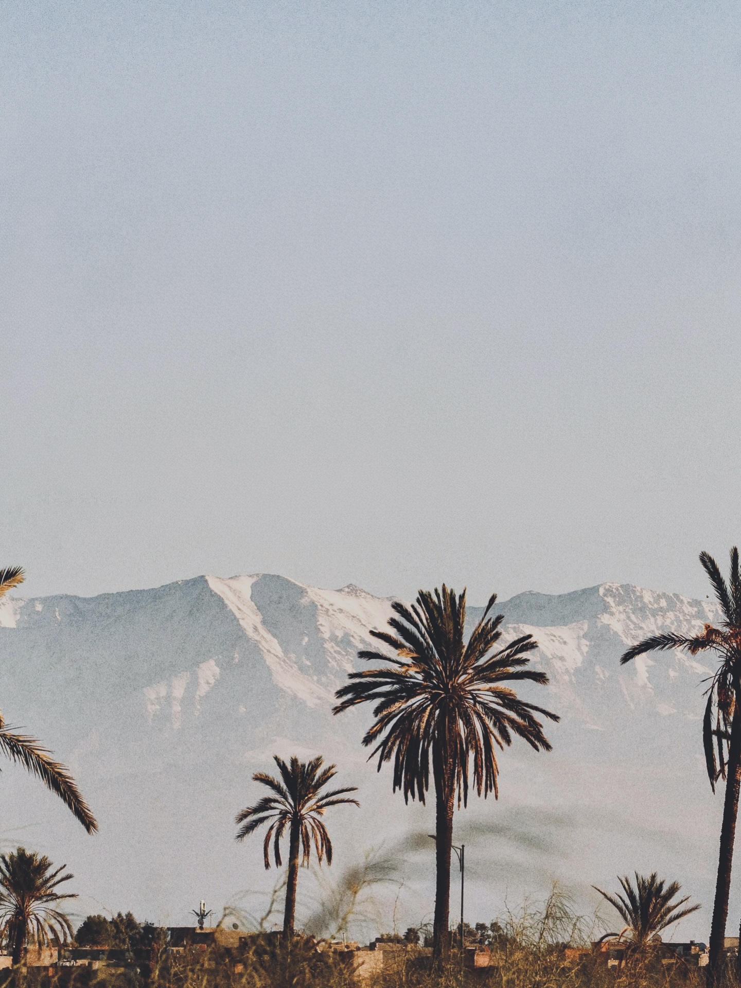 View of Marrakech under a clear winter sky