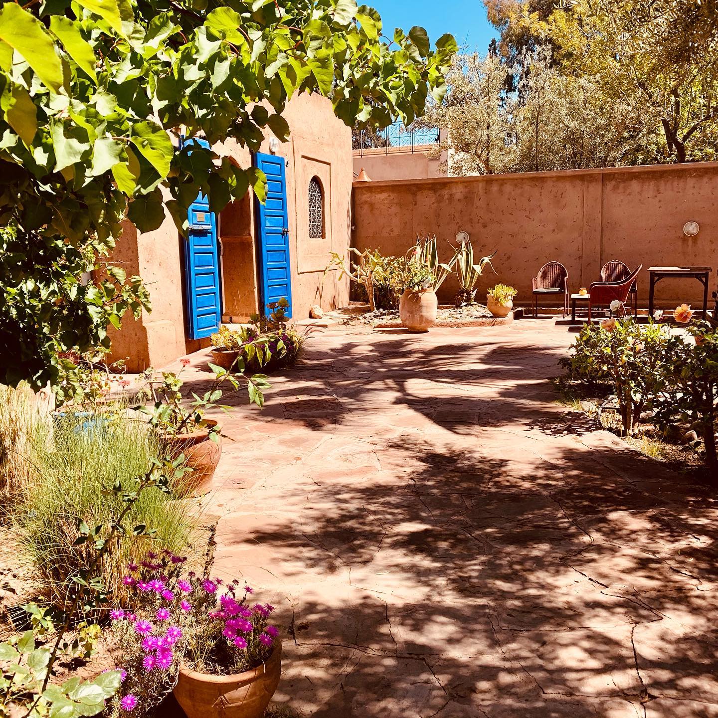 Street scene in Marrakech during a bright summer day