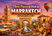 7 Best Places to Visit in Marrakech