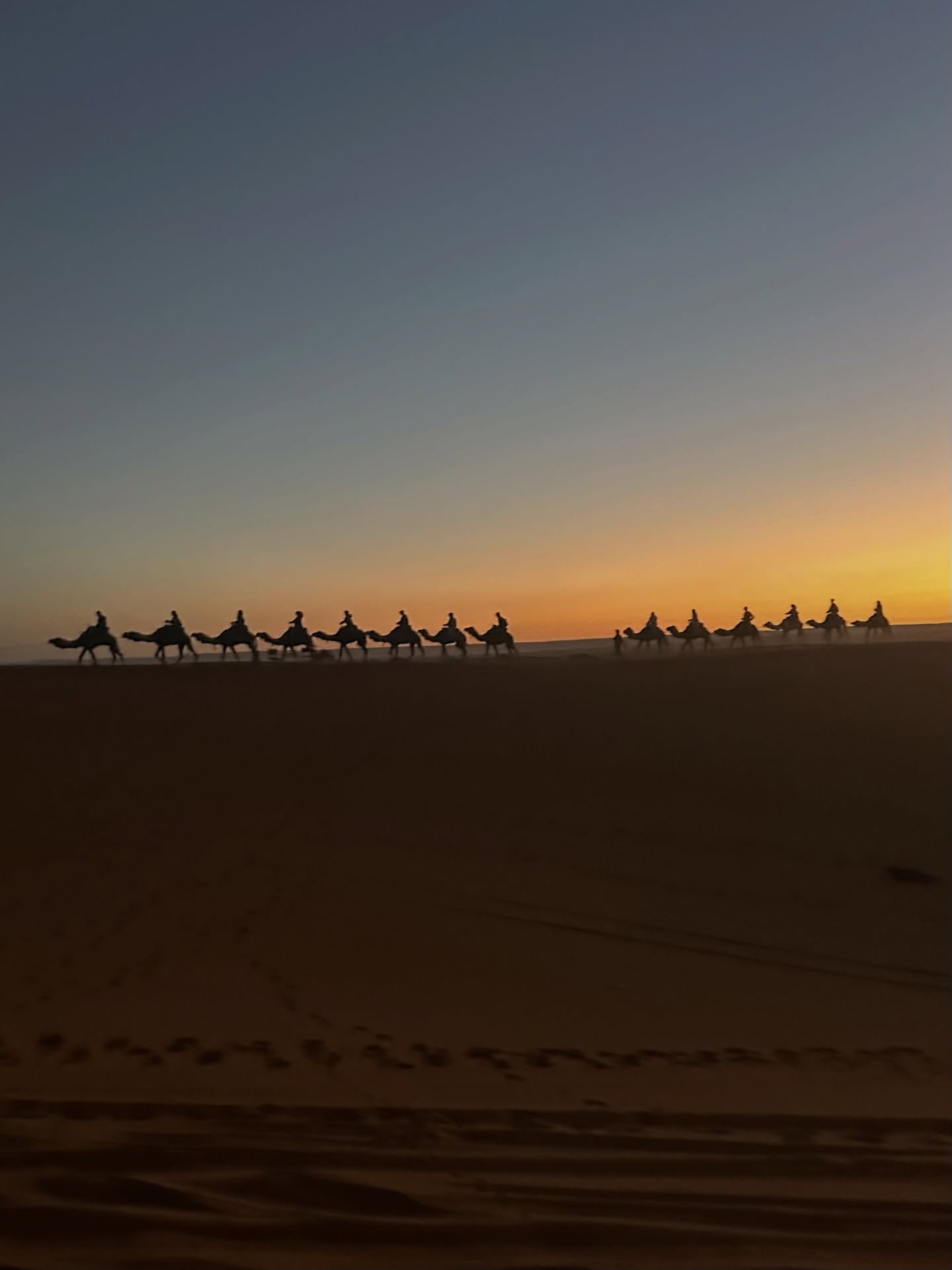 Camel ride Merzouga Sahara at sunset