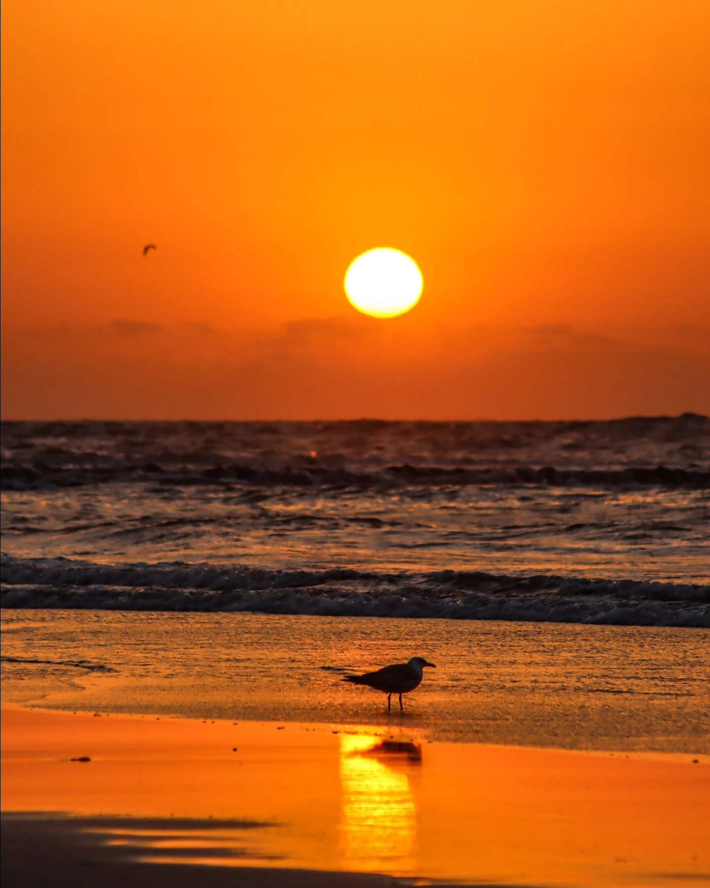 Essaouira rampart walls sunset view Morocco