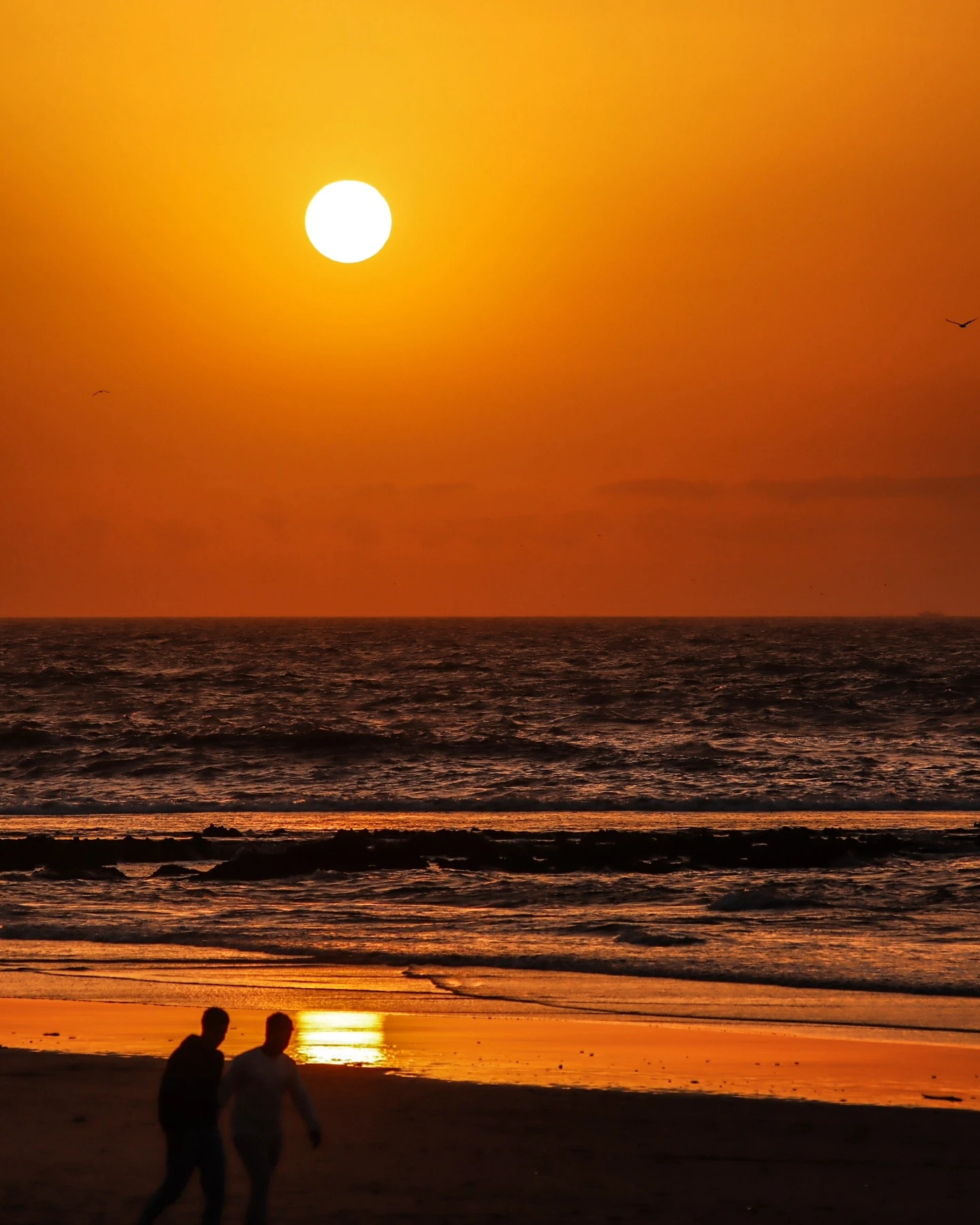 Essaouira medina sunset warm tones Morocco