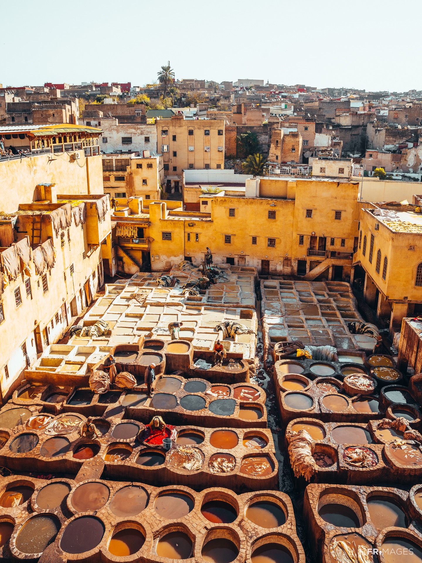 Chouara Tanneries Fes Morocco — a must-see among things to do in Morocco