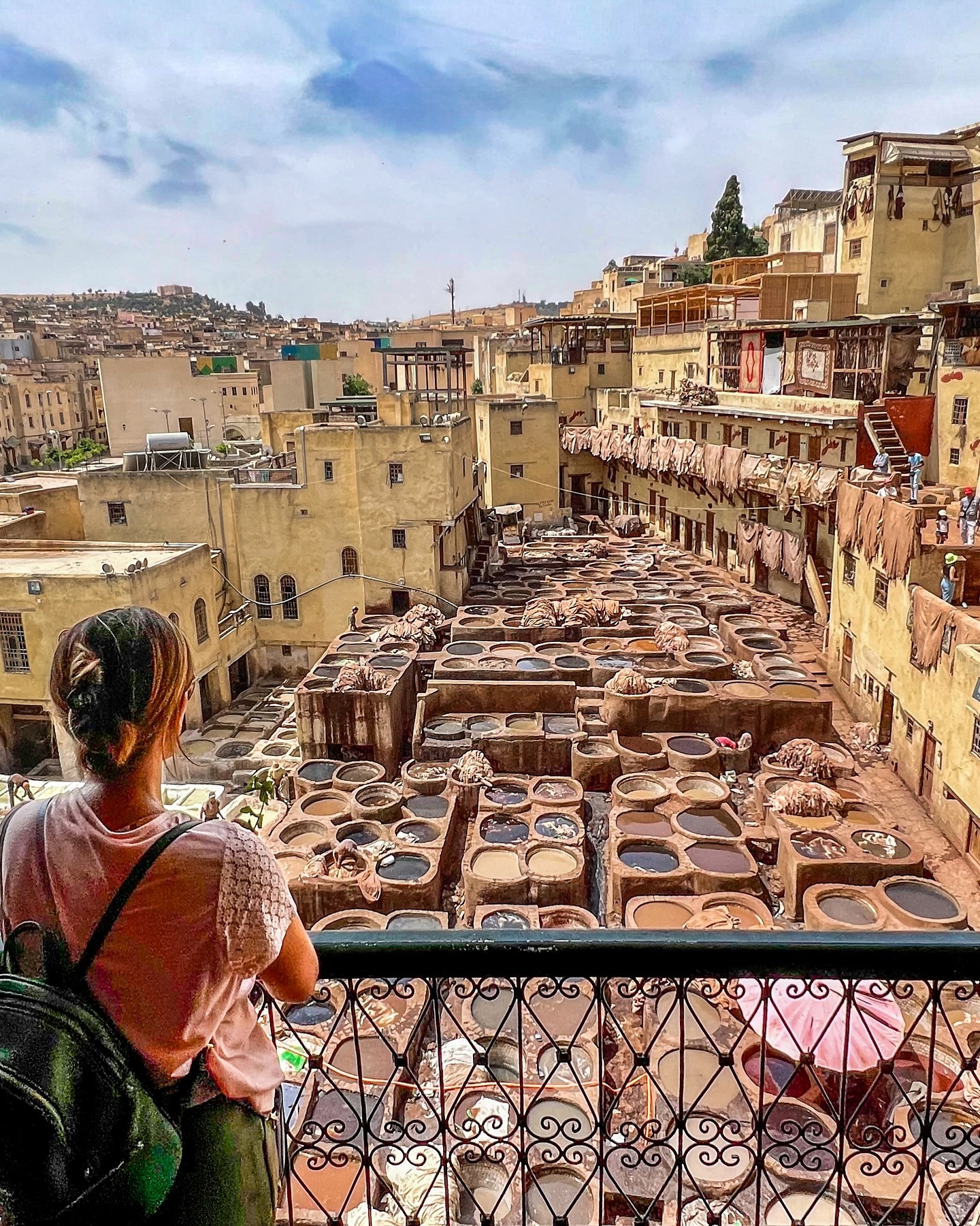 Medina de Fez el-Bali vista desde arriba