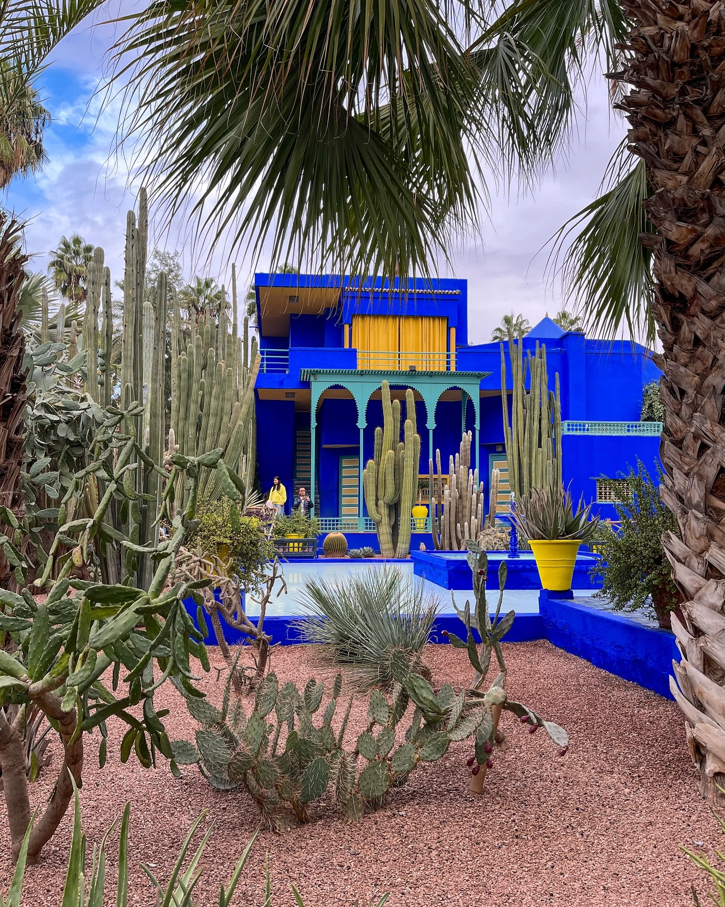 Majorelle Garden & Yves Saint Laurent Museum Marrakech