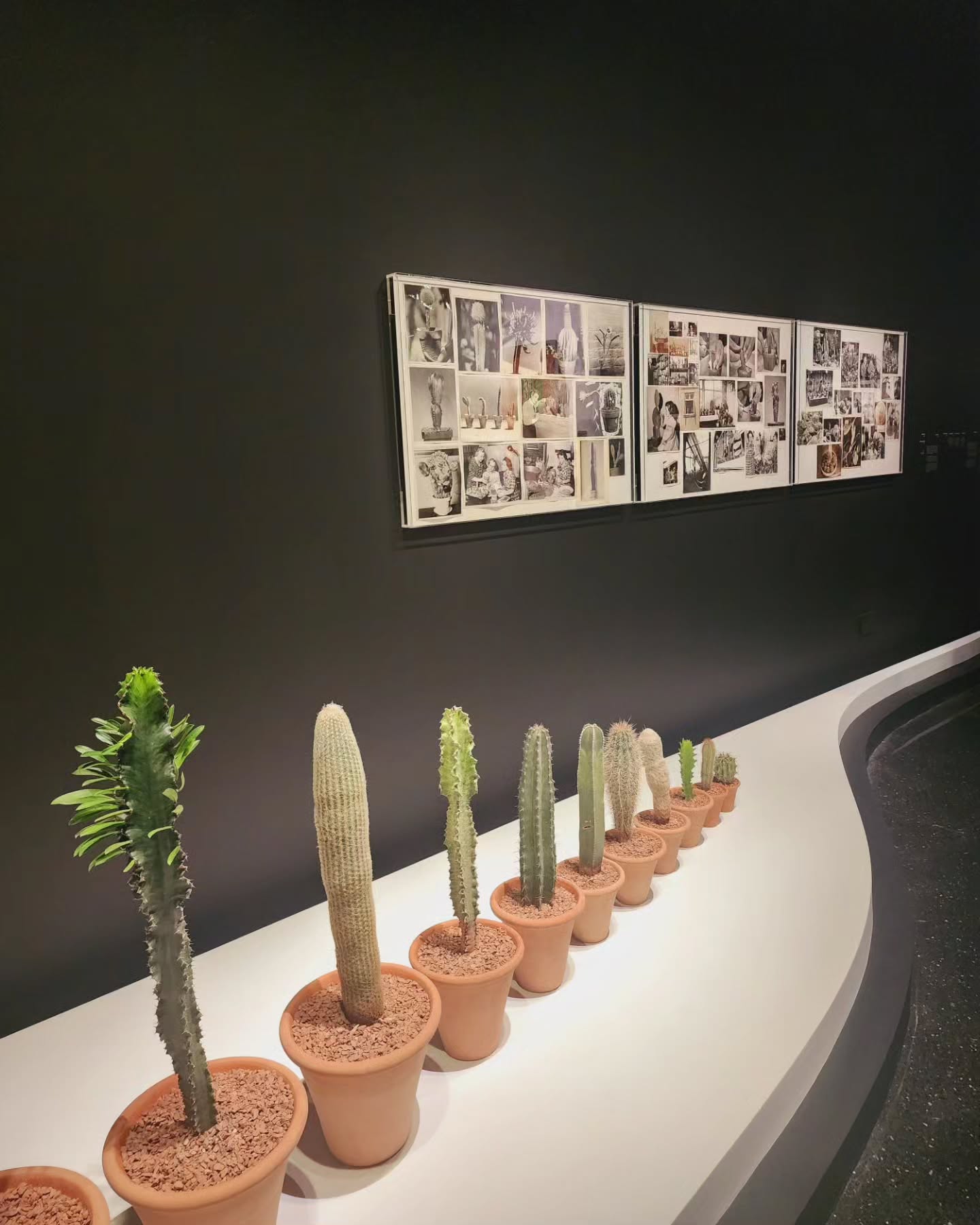 YSL Mondrian dress on display at the Yves Saint Laurent Museum Marrakech