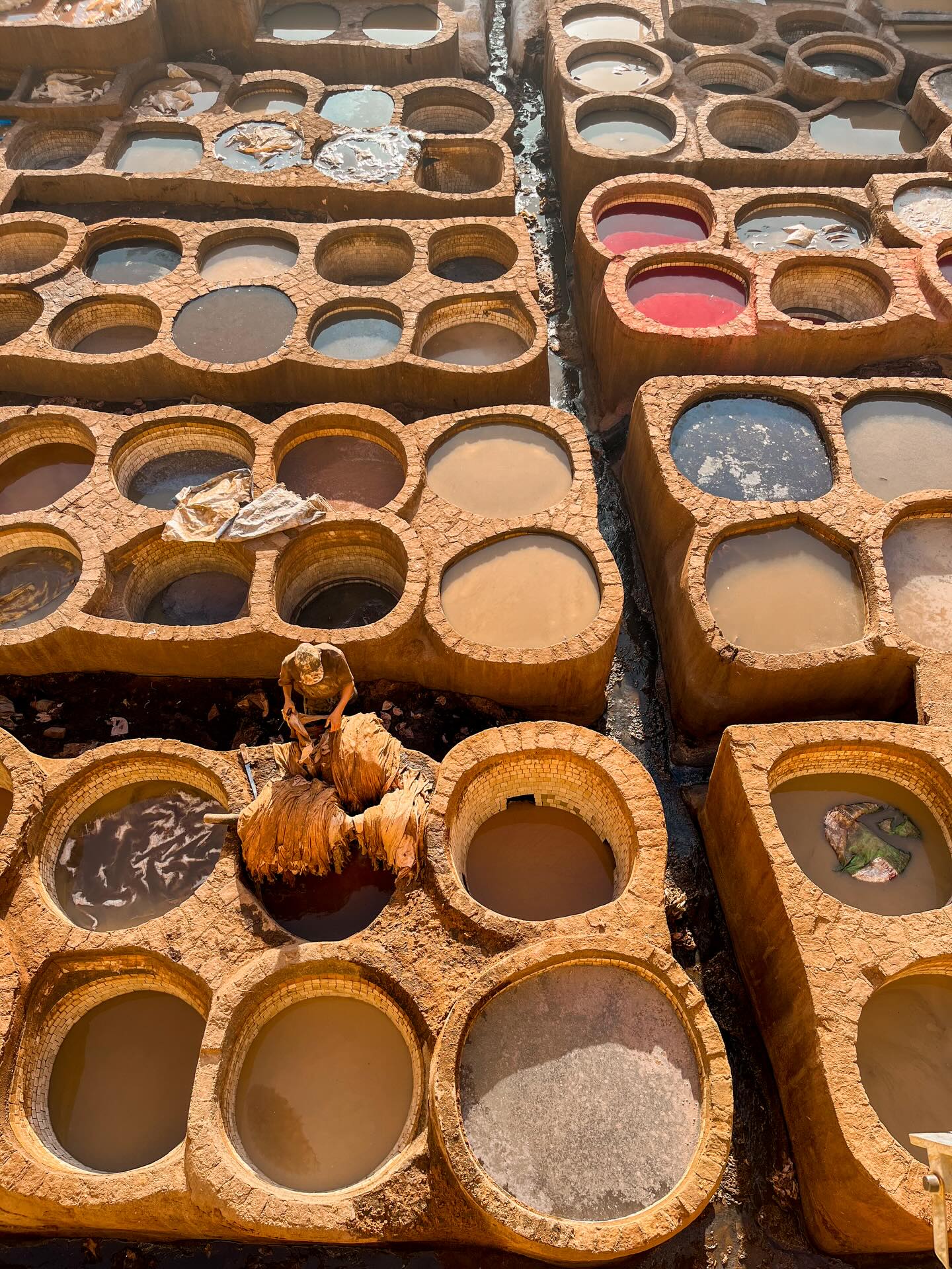 Morocco diverse climate zones — green cedar forests to arid landscape