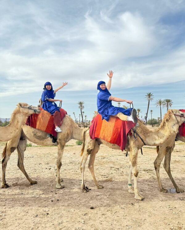 Camel Ride in Marrakech Palmeraie – 2026 - Image 2