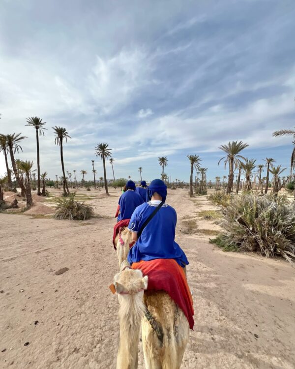 Camel Ride in Marrakech Palmeraie – 2026