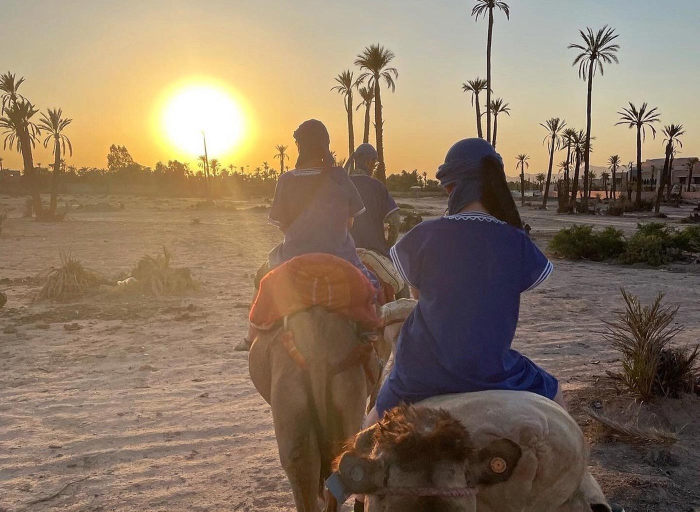 Camel ride experience in the Marrakech Palmeraie