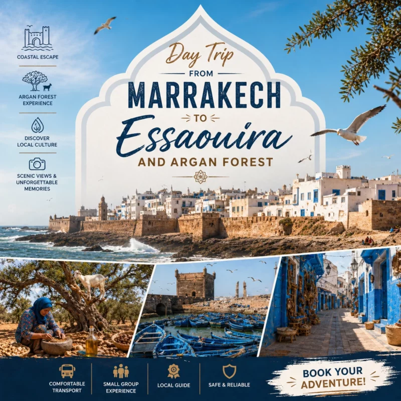 Day Trip From Marrakech to Essaouira and Argan Forest