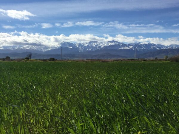 Day Trip from Marrakech to Ourika and Atlas mountains