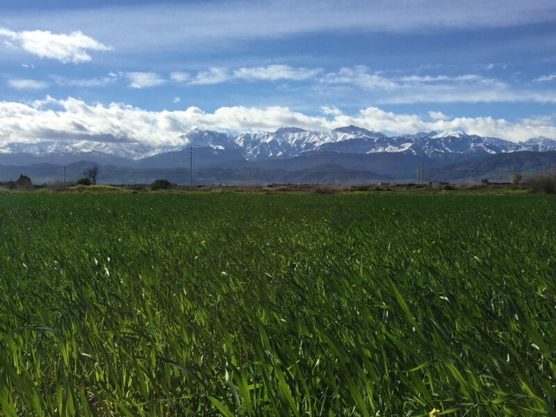 Day Trip from Marrakech to Ourika and Atlas mountains