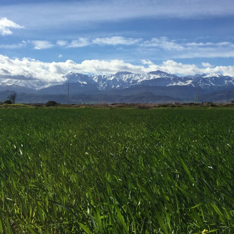 Day Trip from Marrakech to Ourika and Atlas mountains