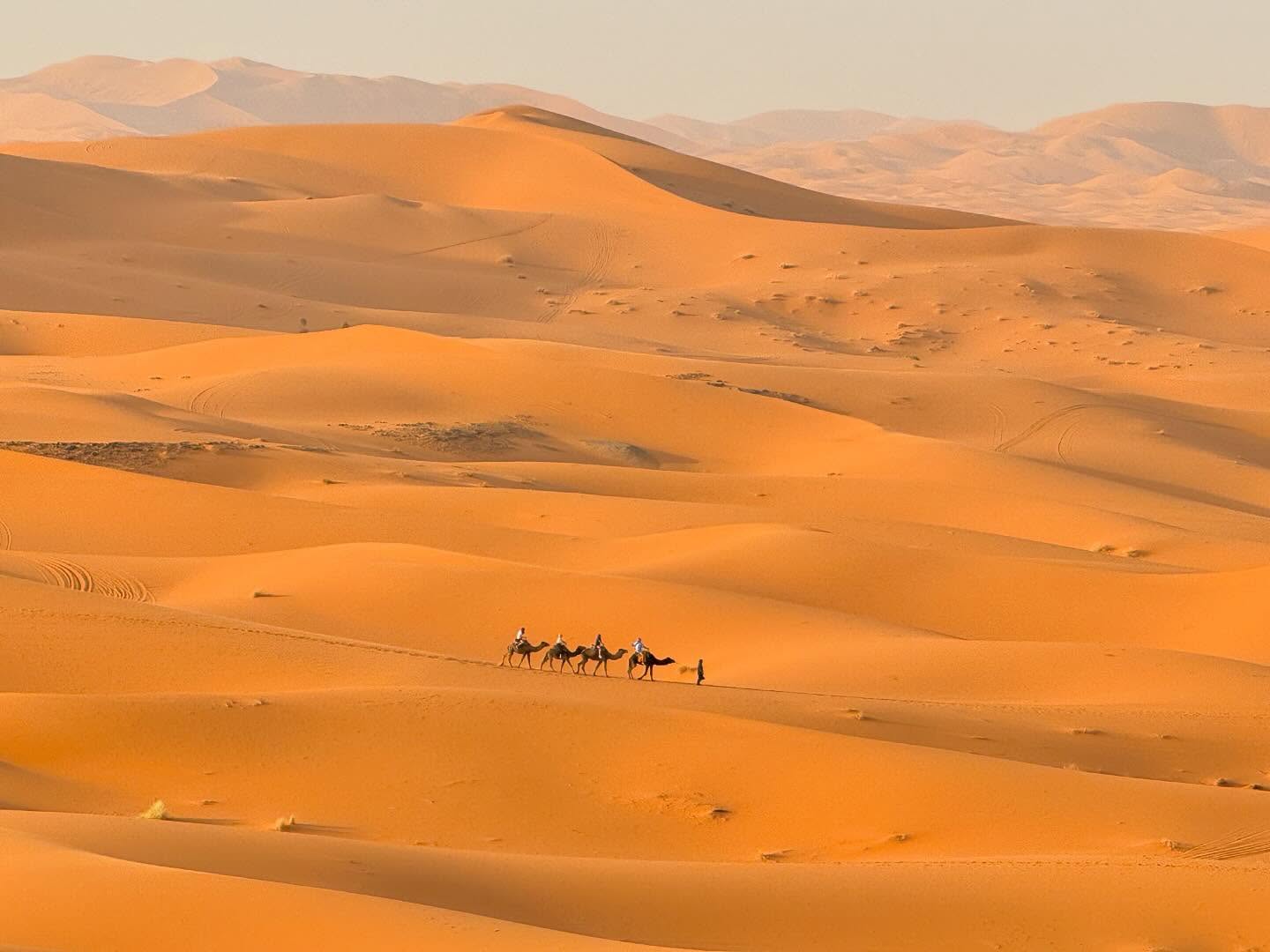 Vast Sahara dune landscape at Erg Chebbi near Merzouga Morocco