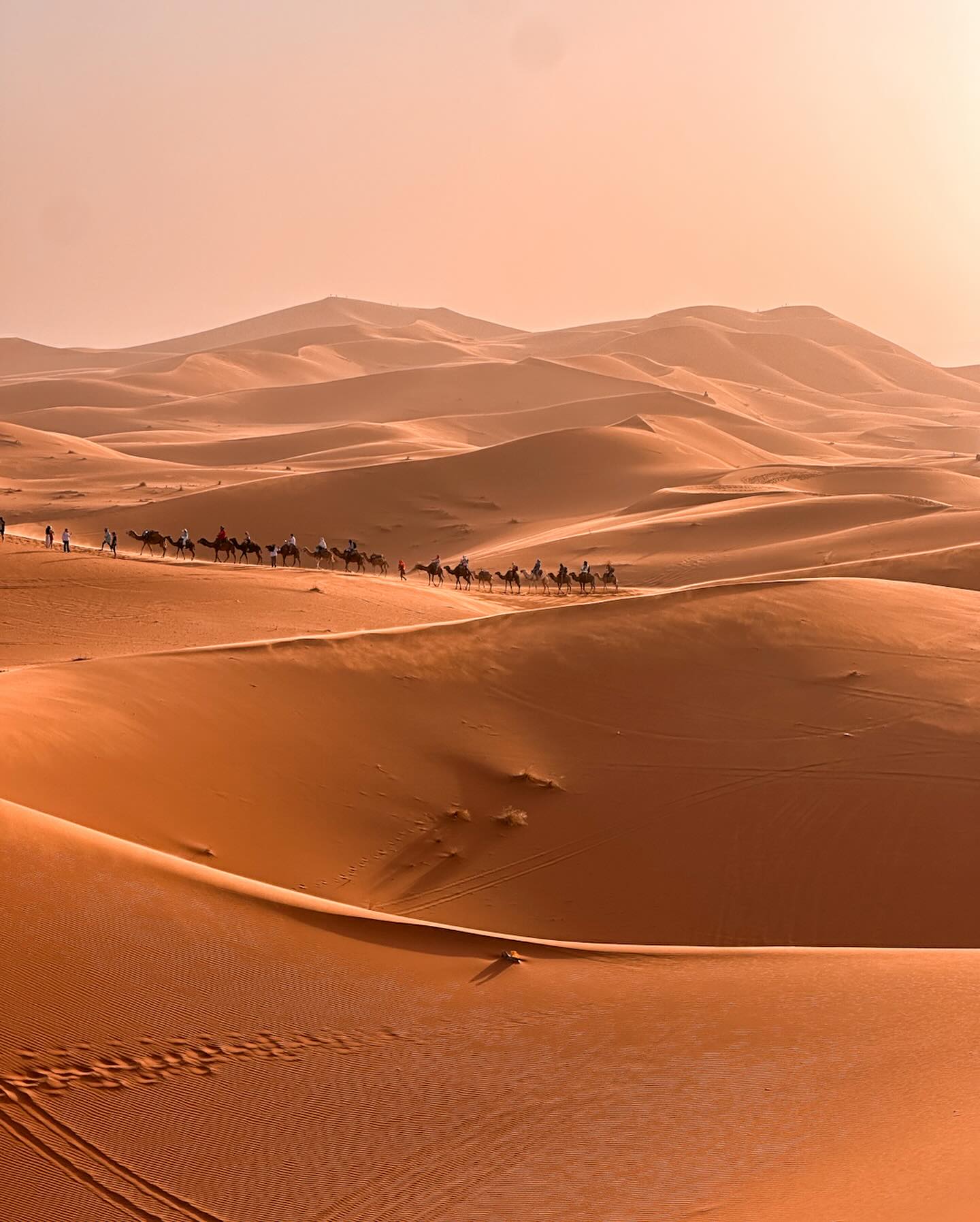 Erg Chebbi dunes near Merzouga at sunset Morocco