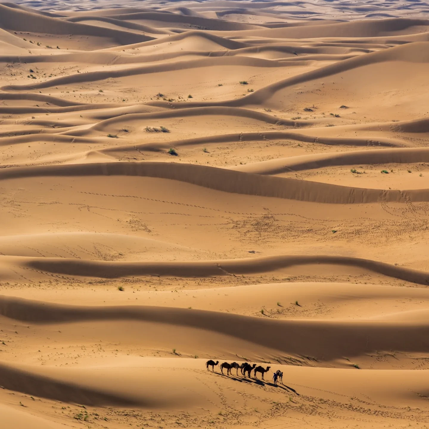 Erg Chigaga dunes Zagora region Morocco