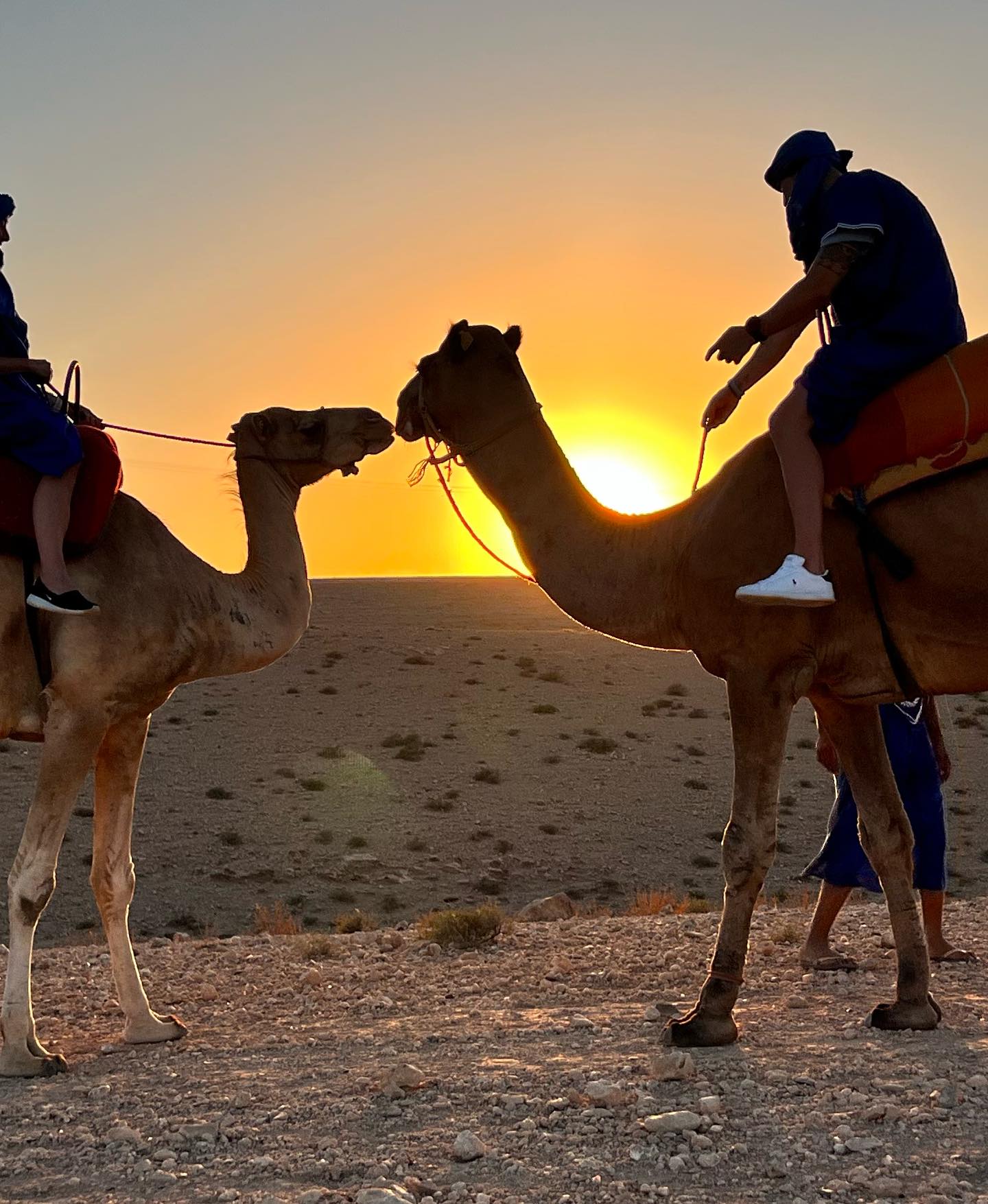 Romantic camel ride at sunset in Agafay desert