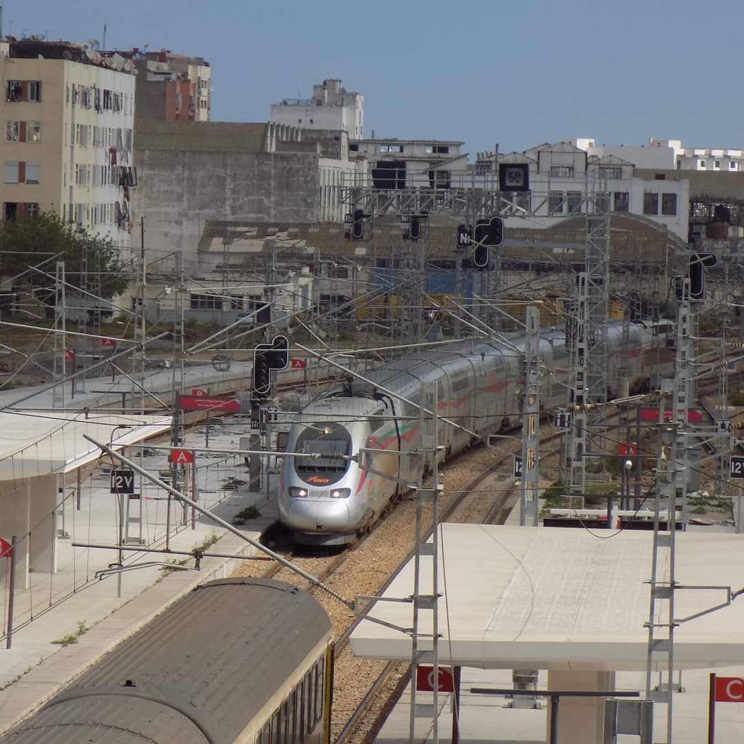 View from Al Boraq train window between Casablanca and Tangier, Morocco countryside