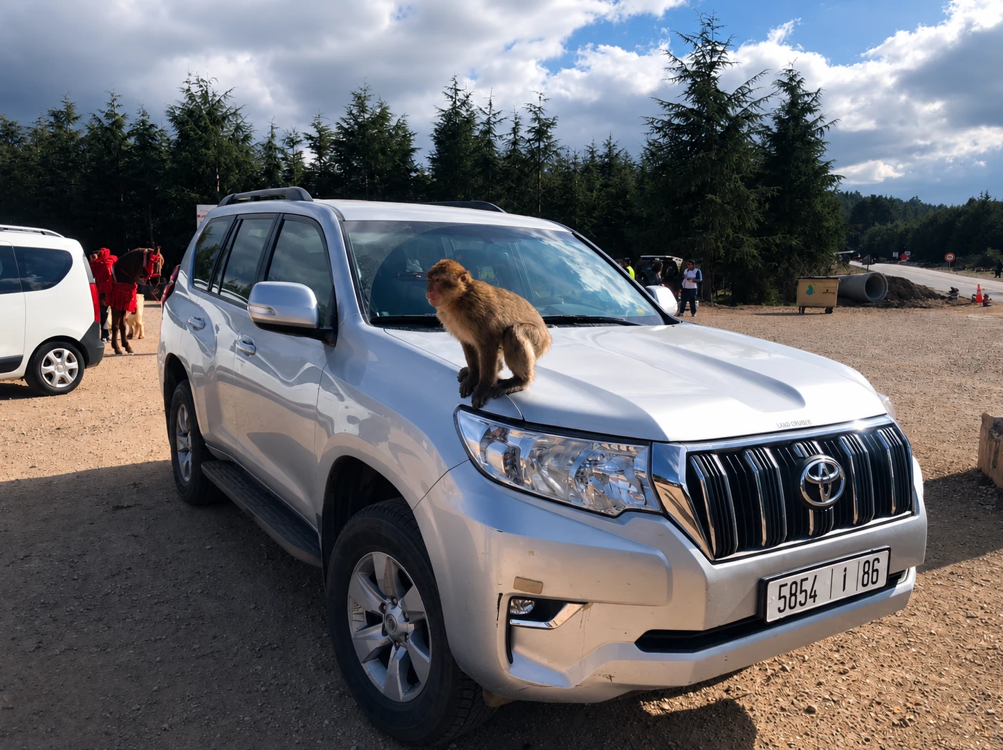 Driver and traveler on a Morocco road trip through the Atlas Mountains