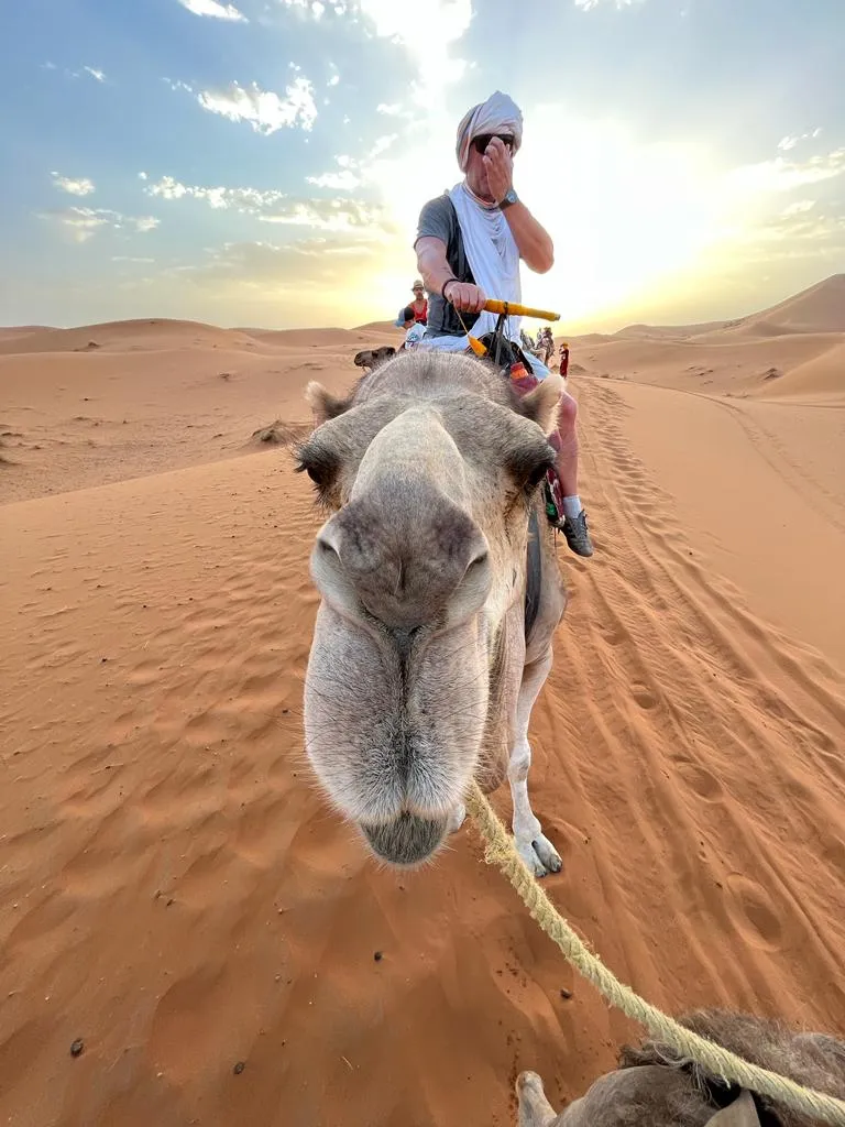 Camel trek in Merzouga, Morocco — an experience no AI can fully prepare you for