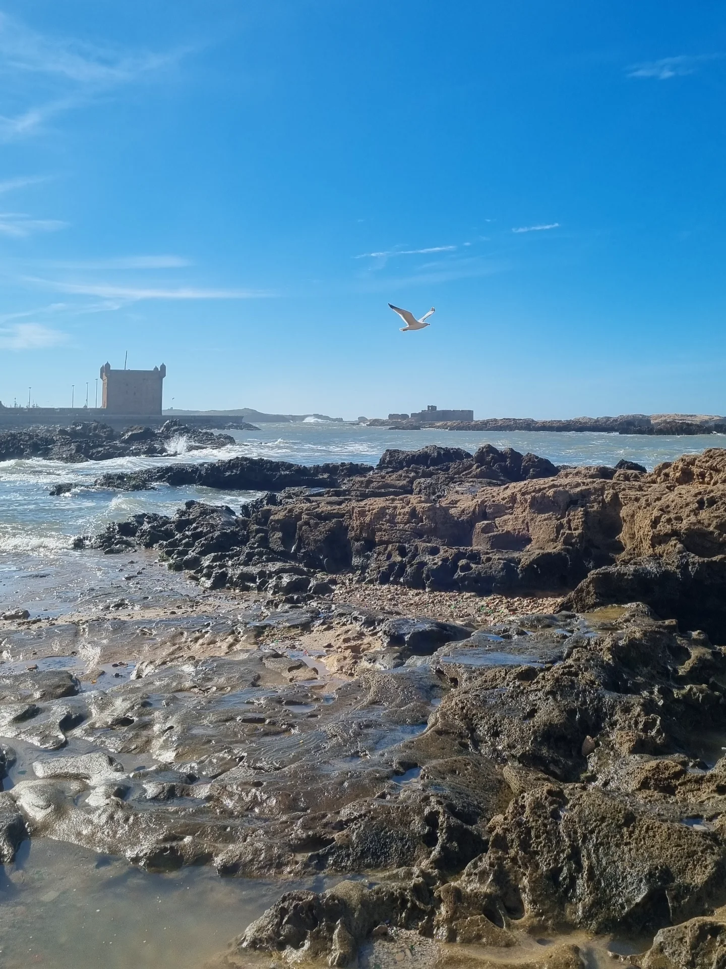 Essaouira Atlantic beach with kite surfers Morocco