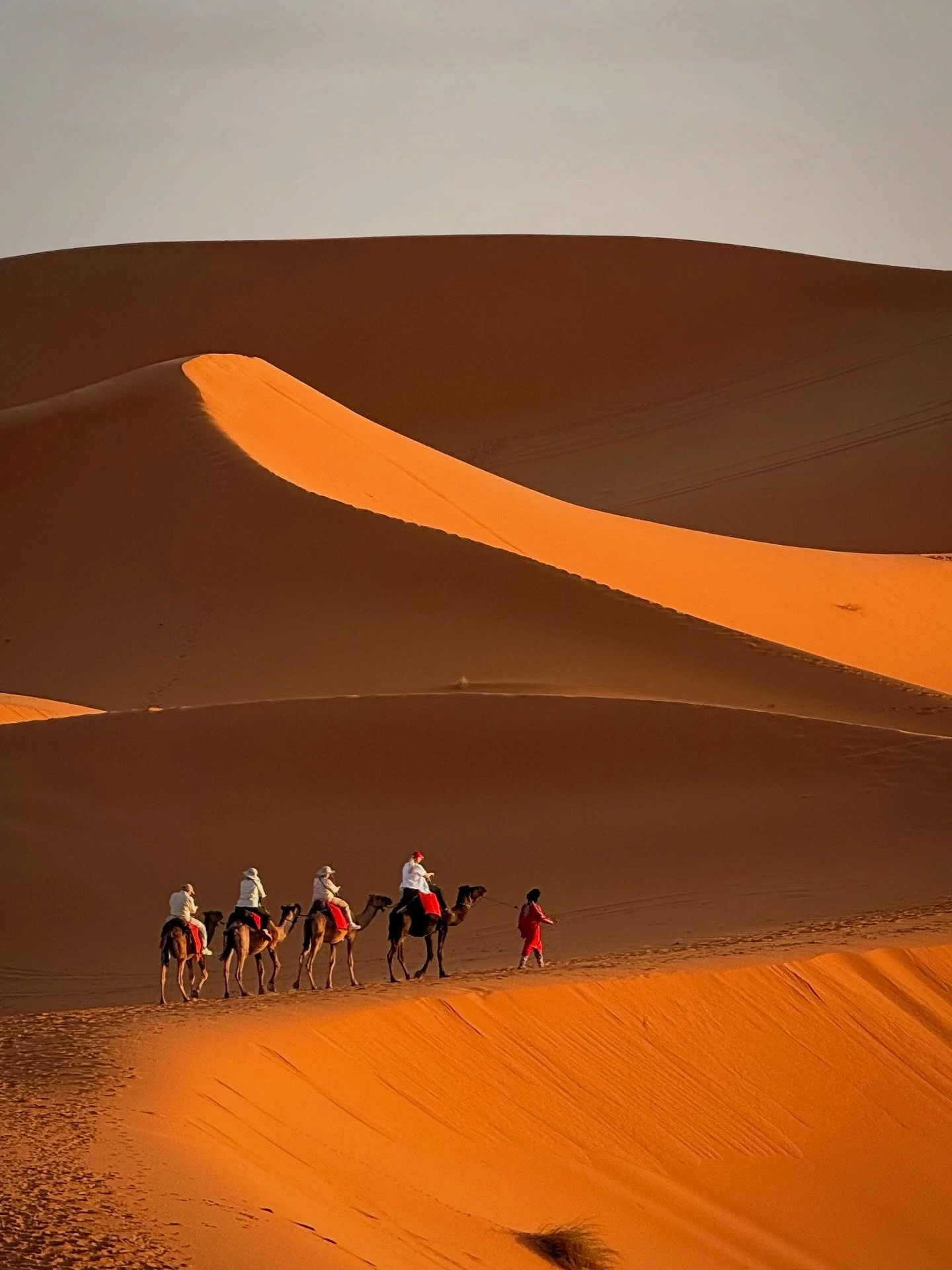 Sahara desert dunes fnear Merzouga — a highlight of any 10-day Morocco itinerary