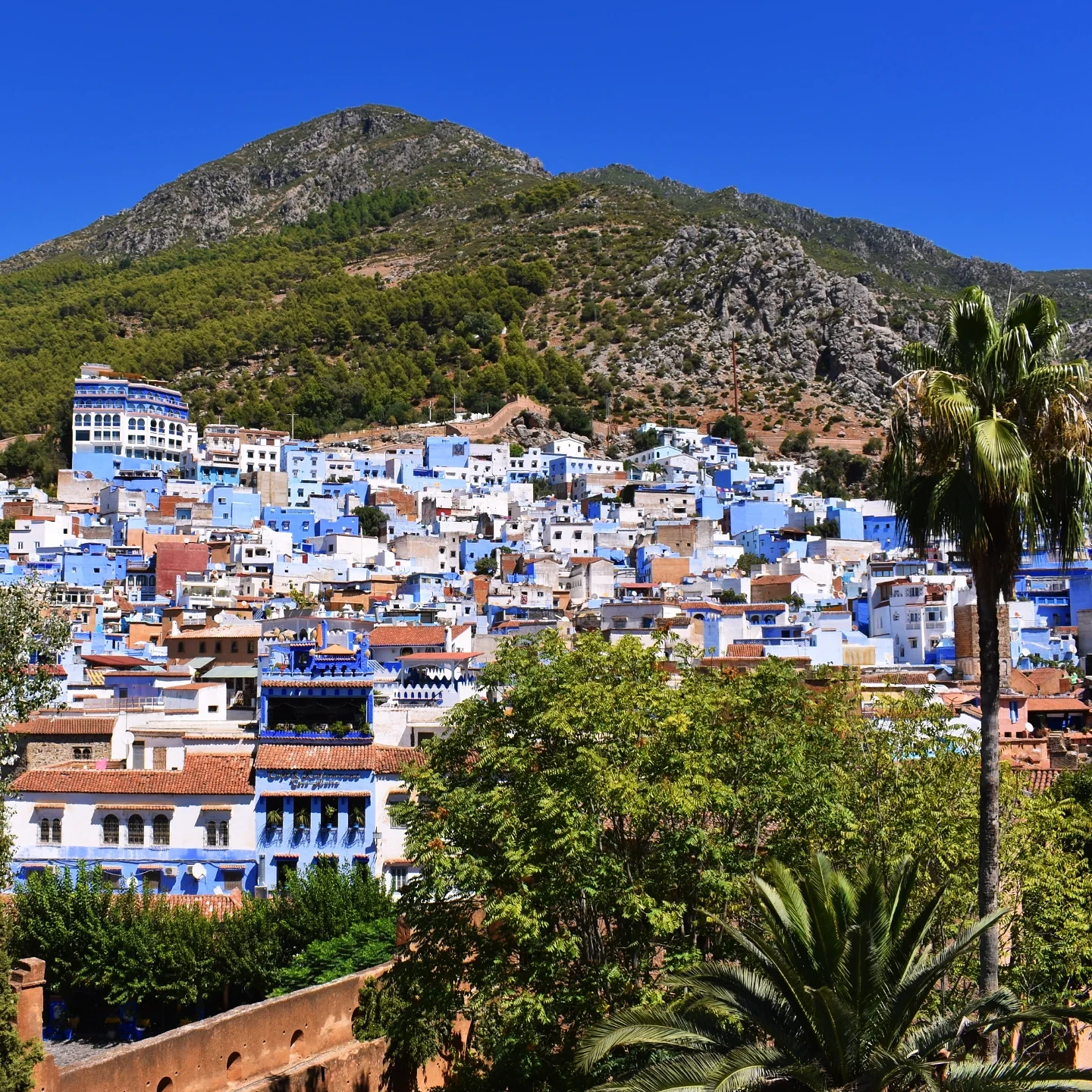 Historic medina architecture of Chefchaouen — blue walls and arch doorways