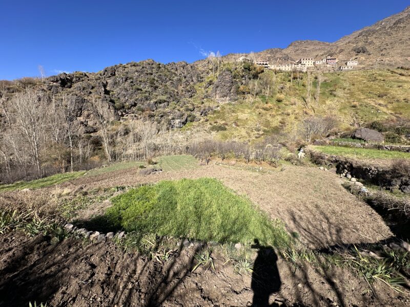 Day trip from Marrakech to Asni Valley and weekly Market - Image 14