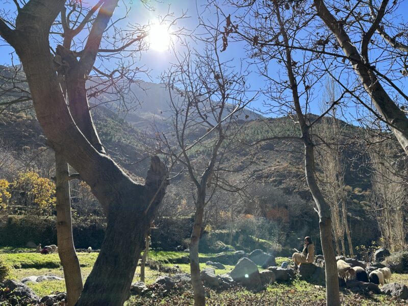 Day trip from Marrakech to Asni Valley and weekly Market - Image 21