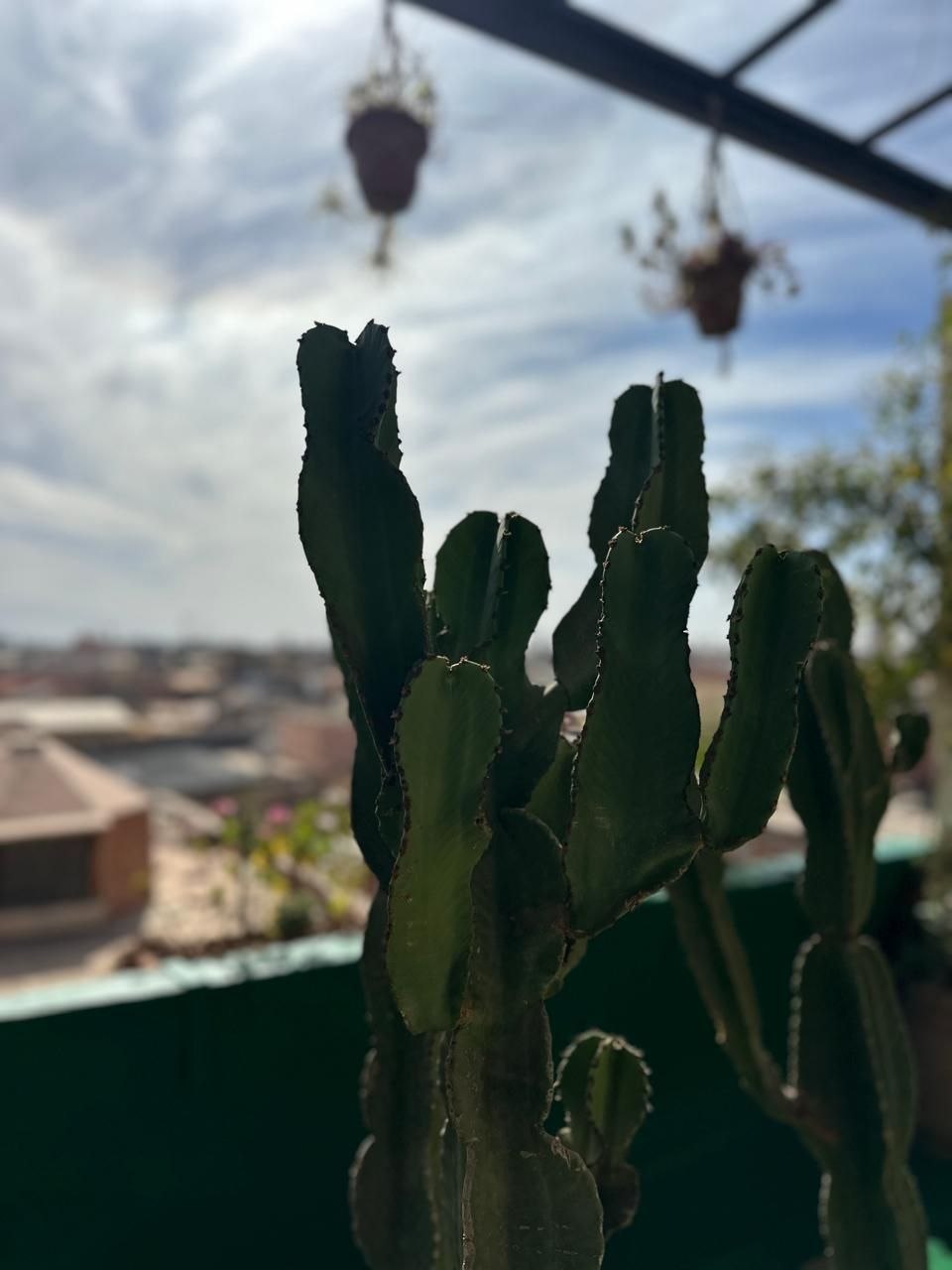 L'Mida Marrakech rooftop panoramic view over the Medina