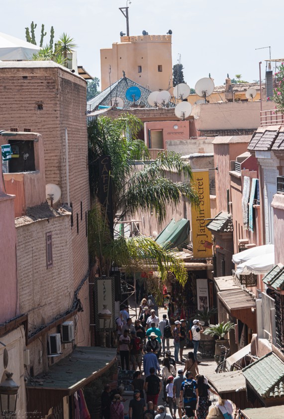 Le Jardin Secret Marrakech hidden garden