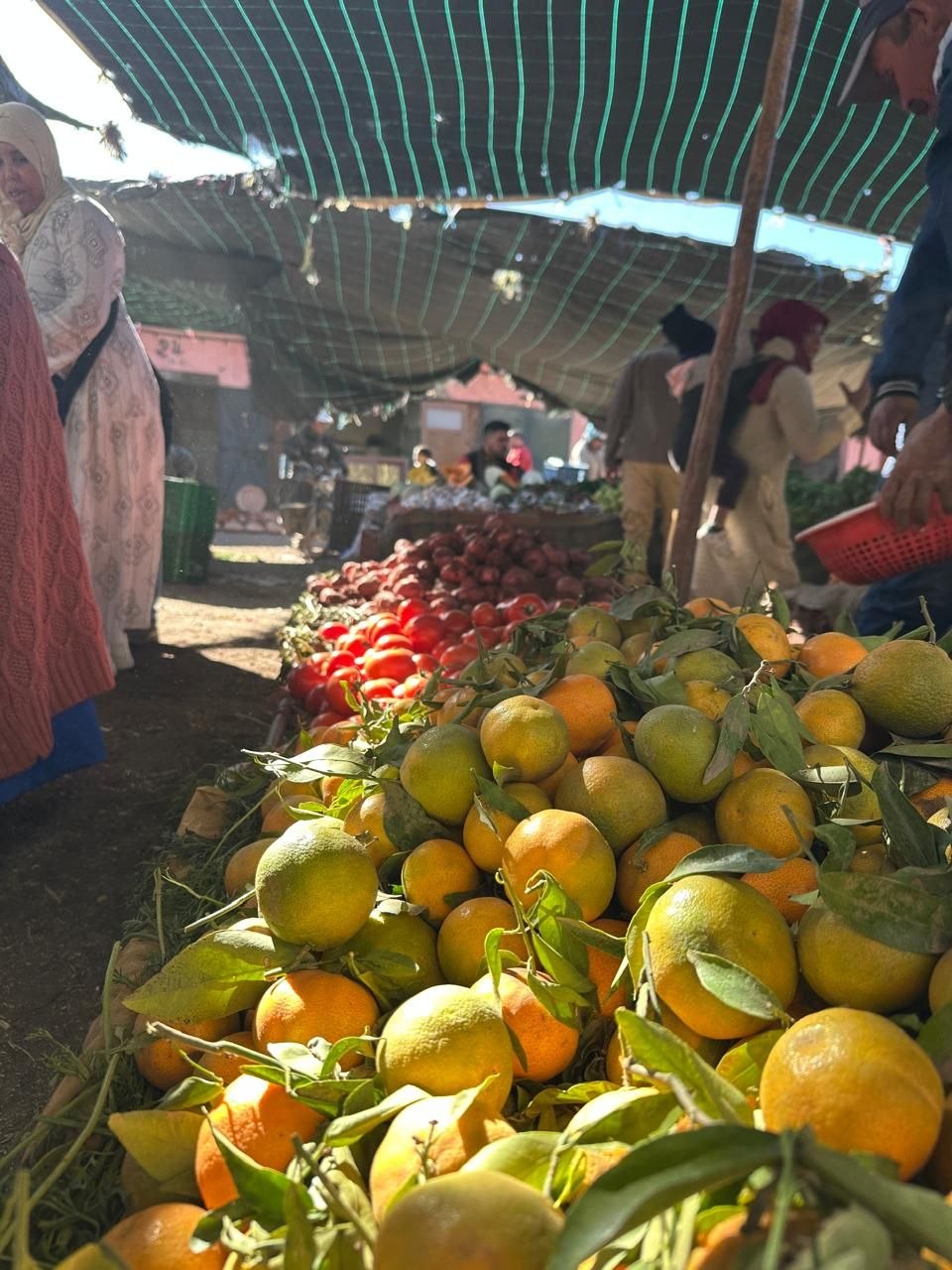 Walking through Souk Asni on a Saturday morning