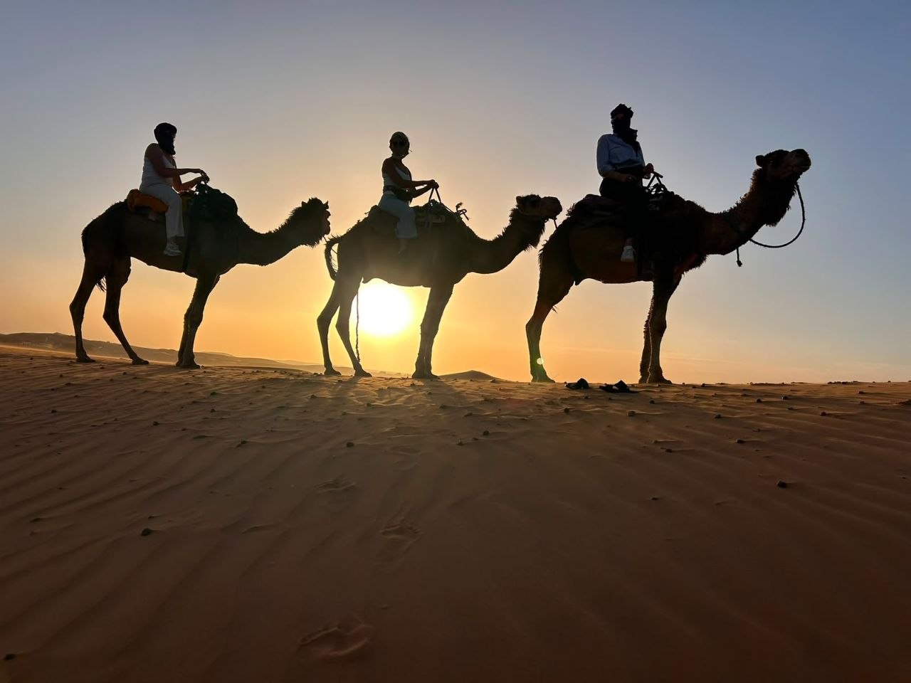 Camel ride at golden hour across the dunes of Merzouga