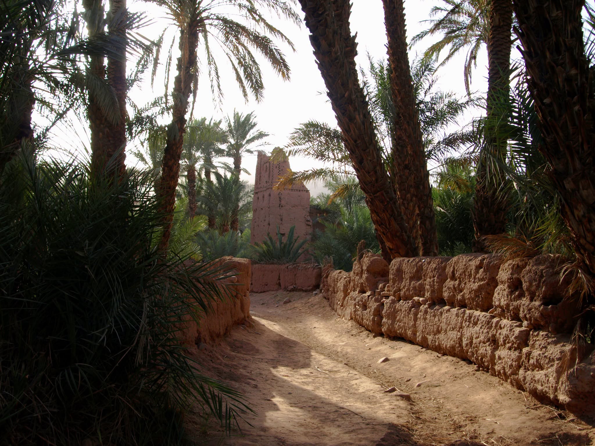 Narrow shaded alley between the earthen buildings of Kasbah Oulad Othmane