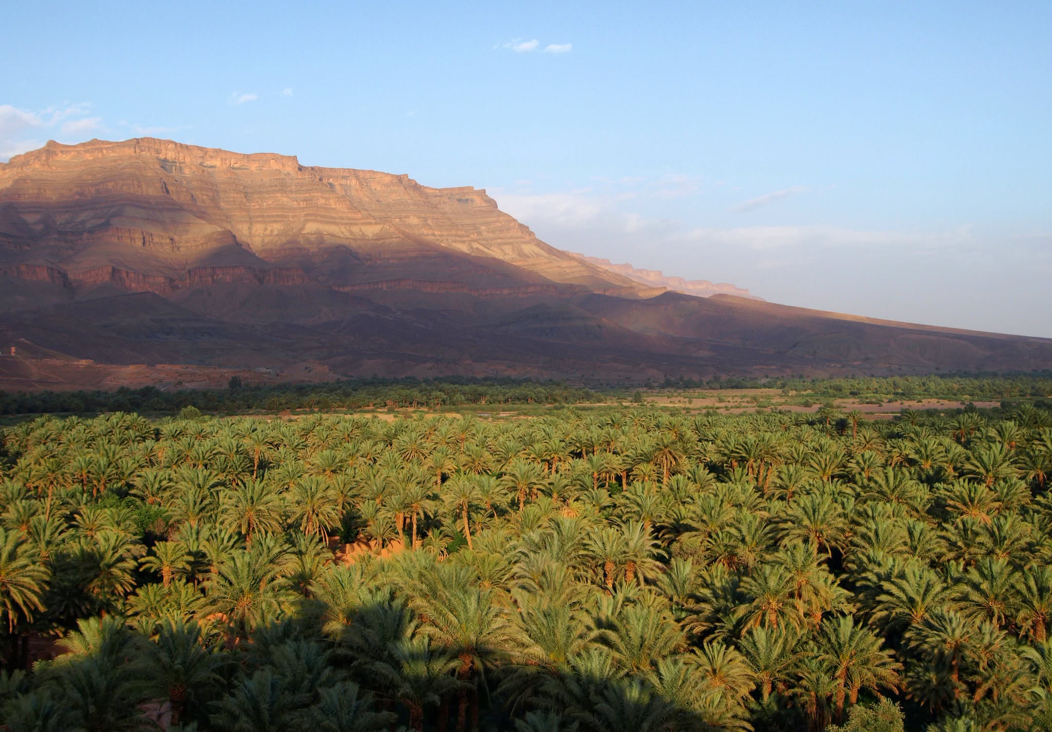 The landscape surrounding Kasbah Oulad Othmane with palm groves and desert hills in the Draa Valley