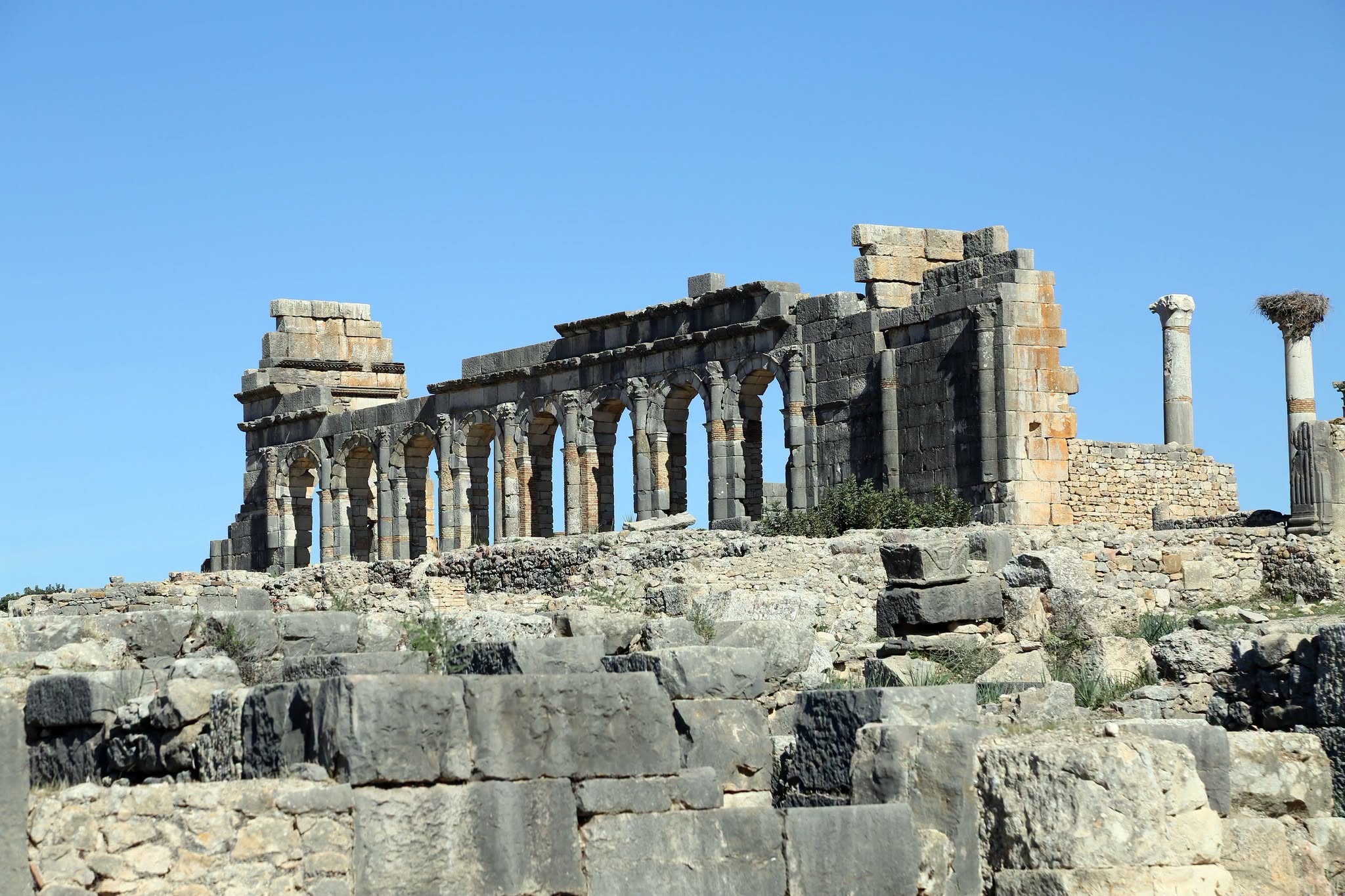 Columns of the Basilica at Volubilis, with a stork's nest built on top of one capital