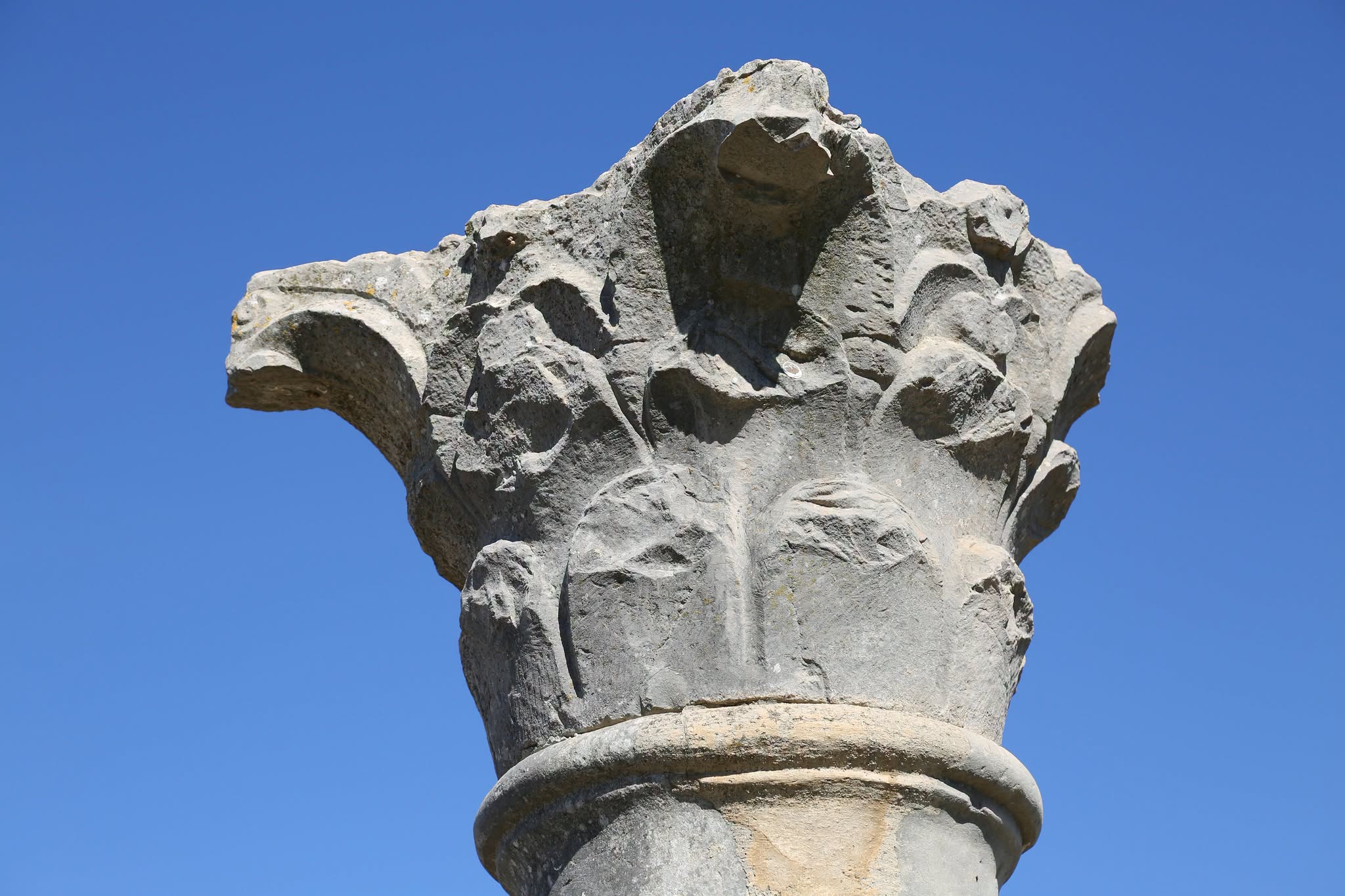 Close-up of a carved Corinthian capital on one of the standing columns at Volubilis