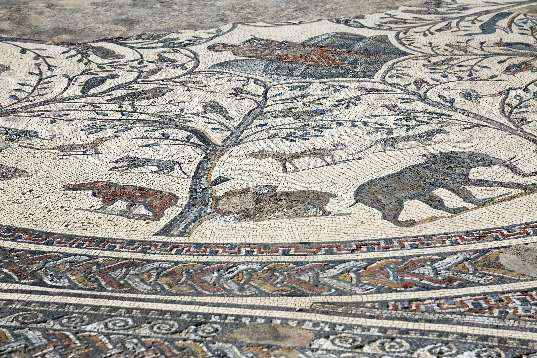 Detail of a Volubilis mosaic showing animals gathered beneath a tree