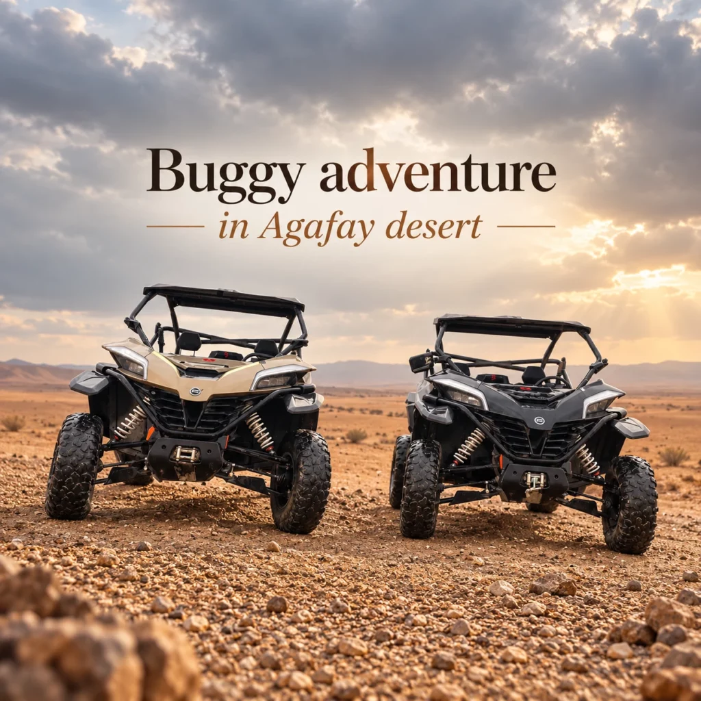 Buggy adventure in Agafay desert